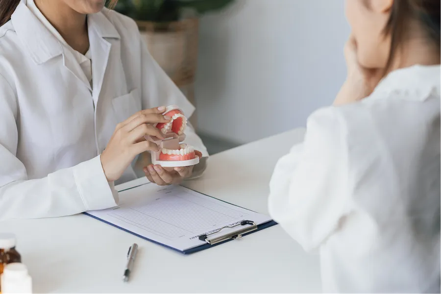 Dental professional demonstrating a tooth model during a consultation
